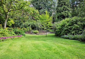 Optimiser l'expérience du jardin à Serigny